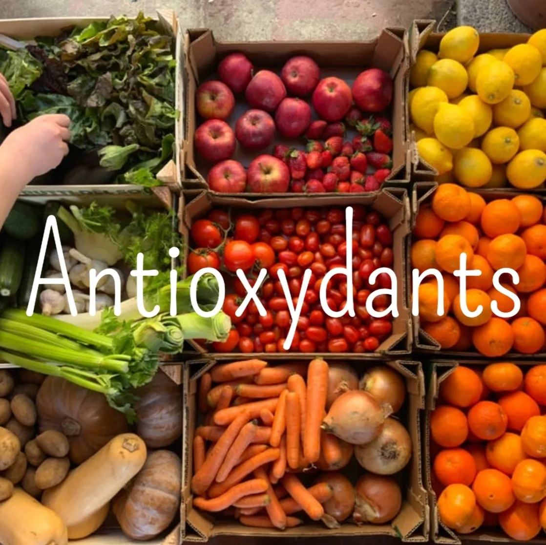 Comment les antioxydants sont devenus un apport indispensable