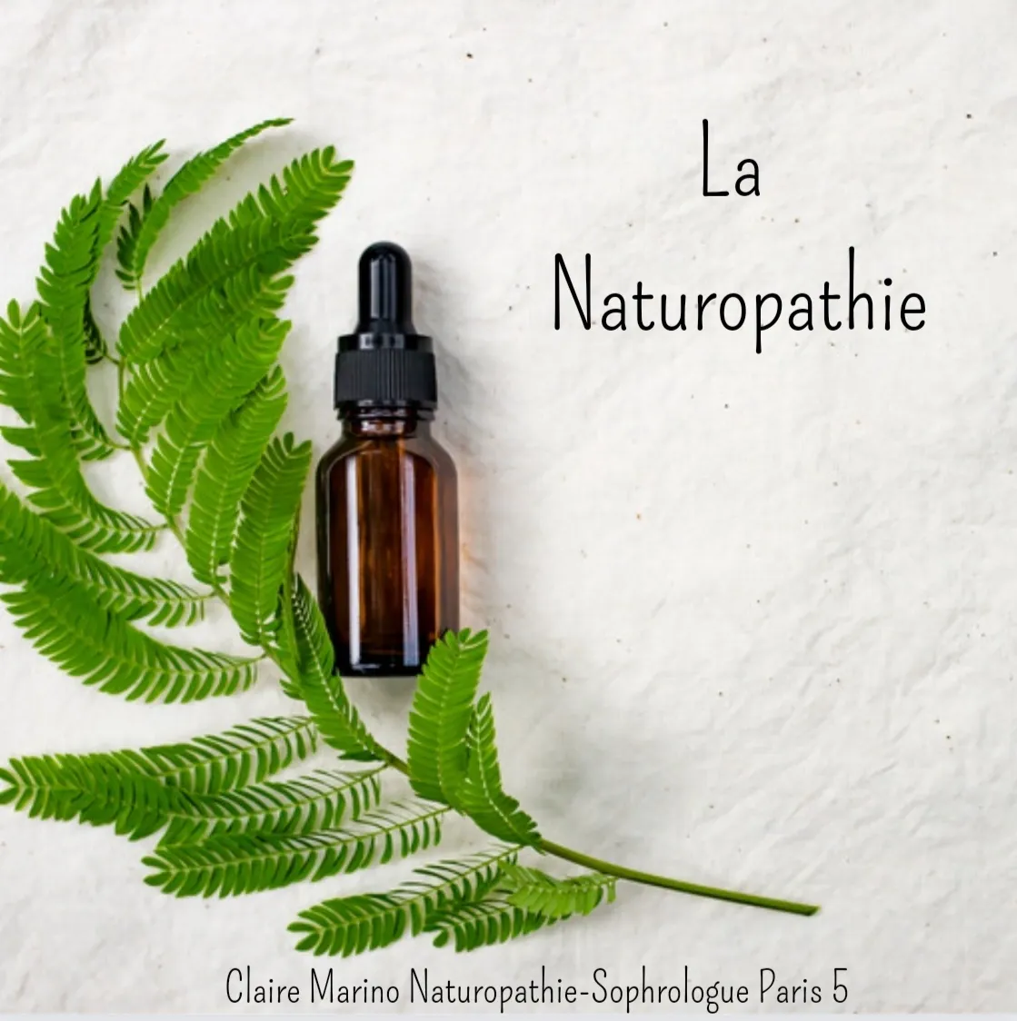 La Naturopathie