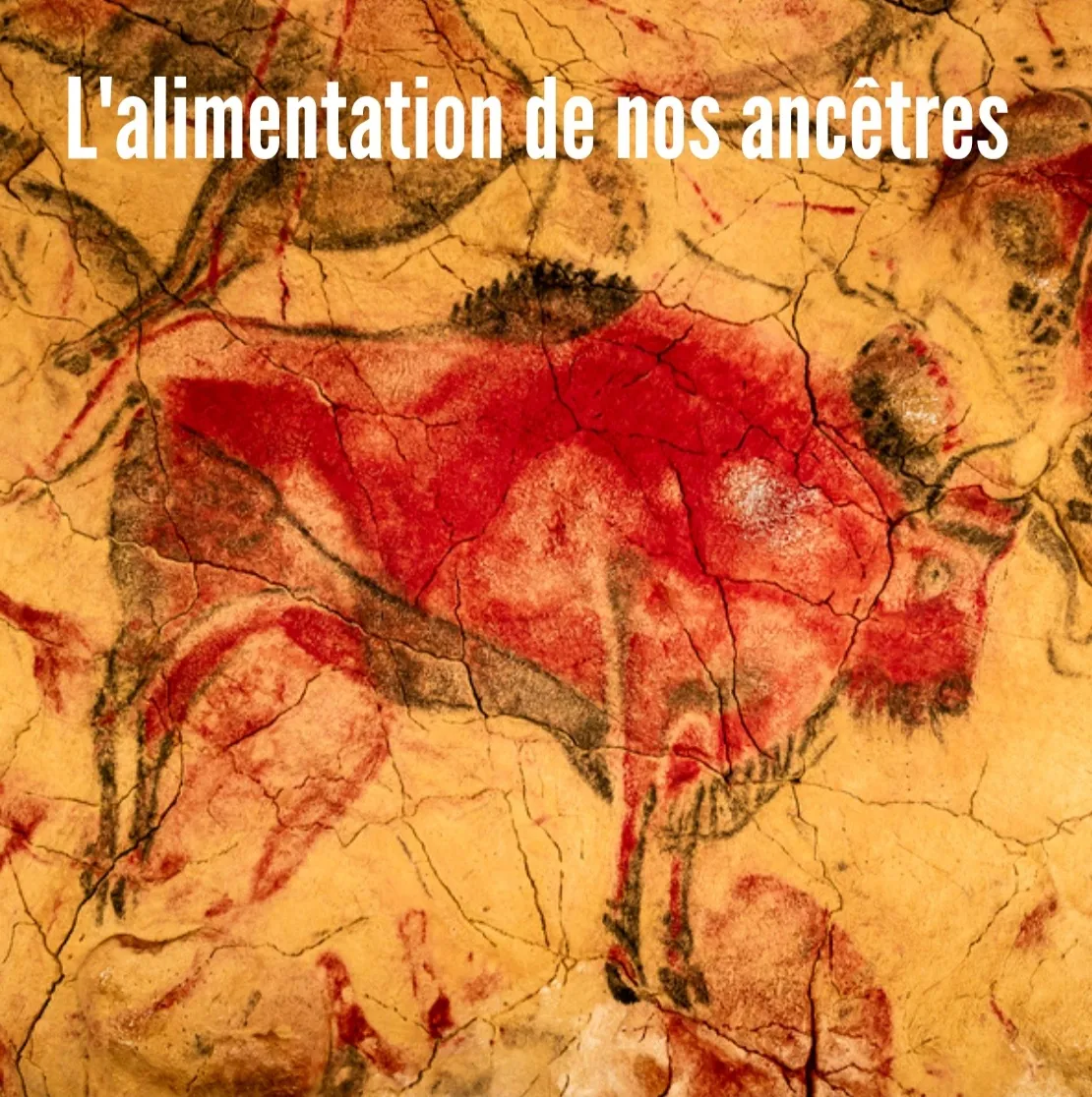 Comment l'alimentation de nos ancêtres doit nous inspirer.