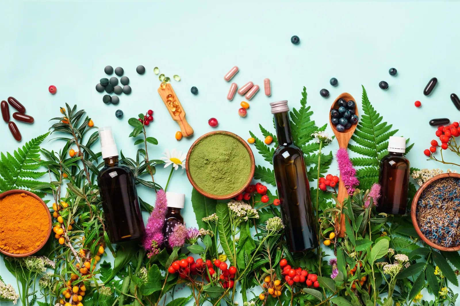 Médecine alternative. Approche holistique. Herbes médicinales et fleurs sur fond bleu. Vue de dessus, copy space, flat lay. Bannière