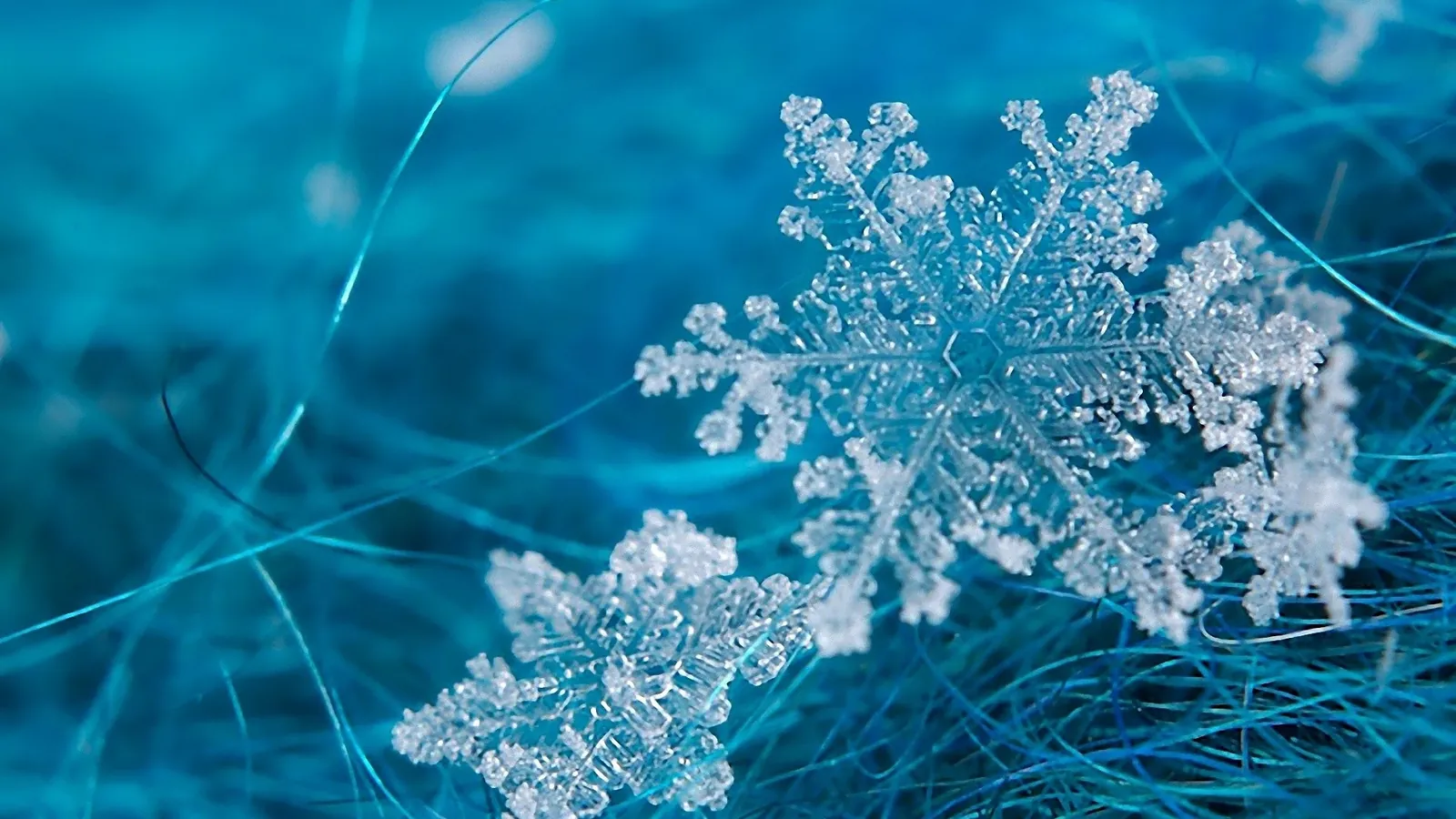 Se réchauffer durant la vague de froid!