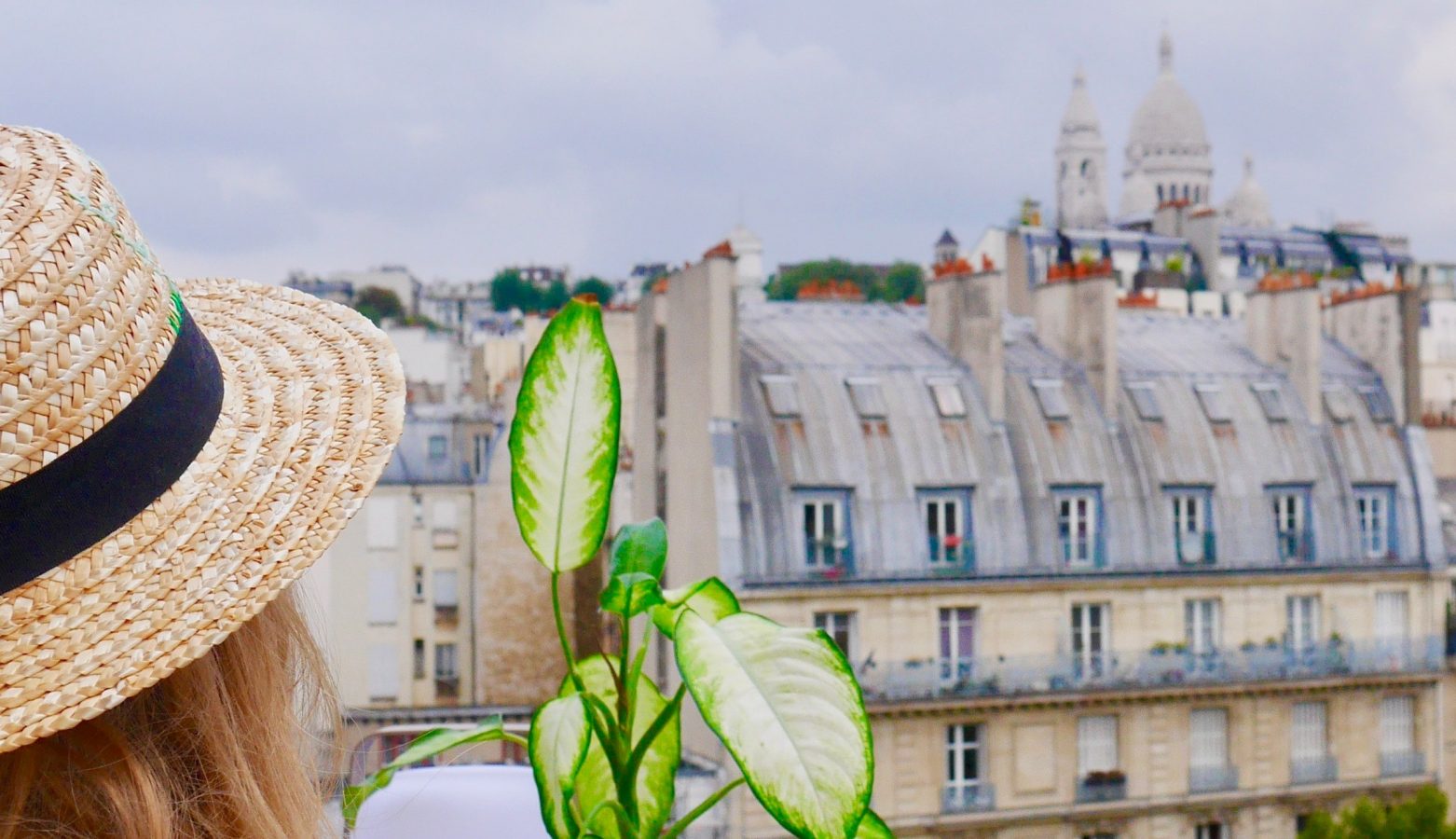 Comment choisir le meilleur naturopathe à Paris pour vous